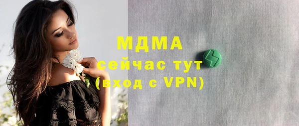 индика Киреевск