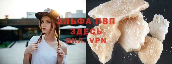 индика Киреевск