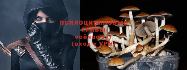 индика Киреевск