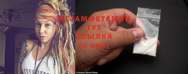 индика Киреевск