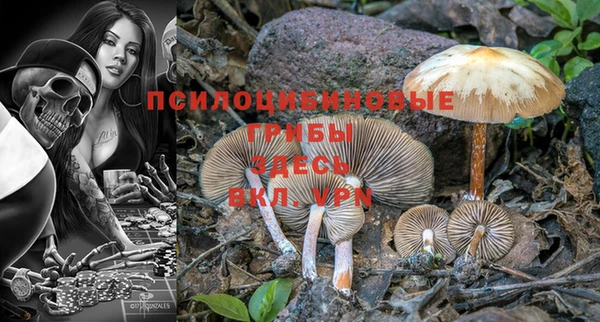 кокс Кинешма