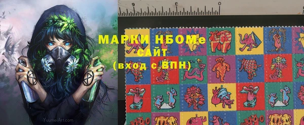 индика Киреевск