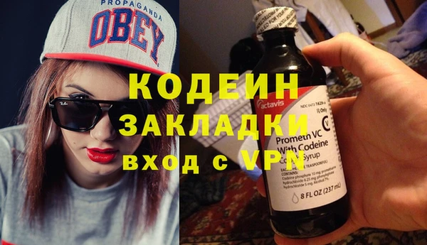 индика Киреевск