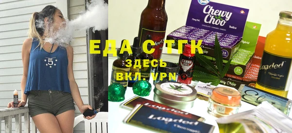 индика Киреевск