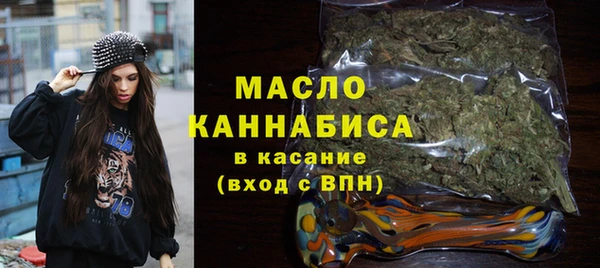 индика Киреевск