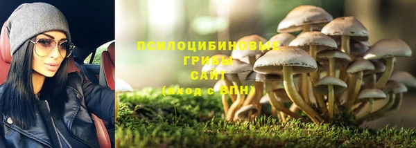 мдма Козловка